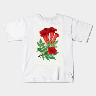 Trumpet Flower Lithograph (1900) Kids T-Shirt